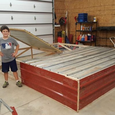 A Business Lesson Learned Raising Chickens for Meat